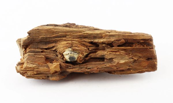 Civil War Bullet in Wood from The Battle of Chancellorsville / SOLD