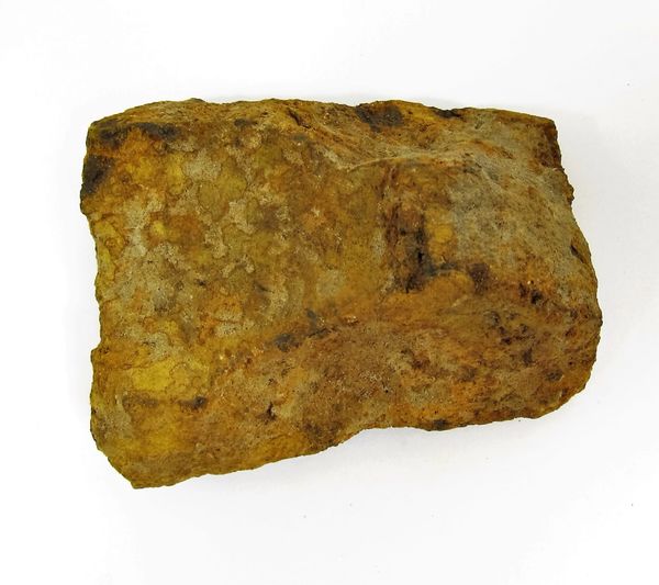 Large Artillery Shell Fragment