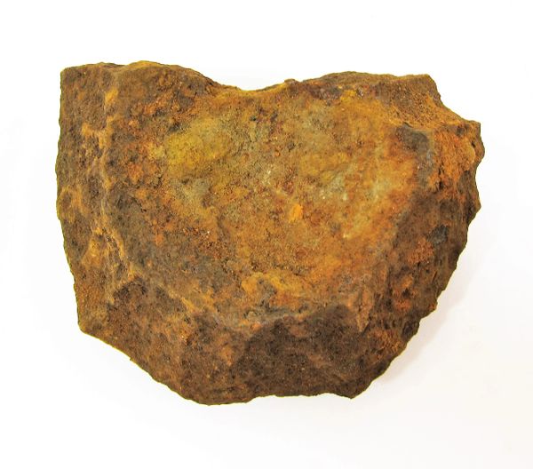 Large Artillery Shell Fragment