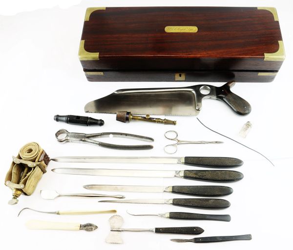 Van Wyck Brinkerhoff Civil War U.S. Hospital Department Field Surgery Set / SOLD