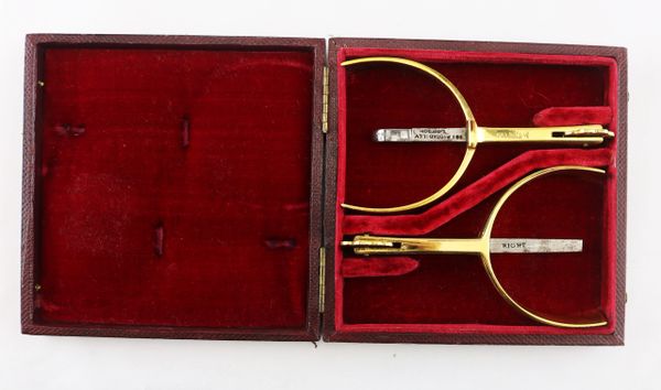 Cased Pair of Brass Officer's Style Spurs by Maxwell, London