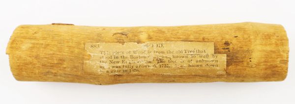 Piece of the “Great Elm” of Boston Common / SOLD