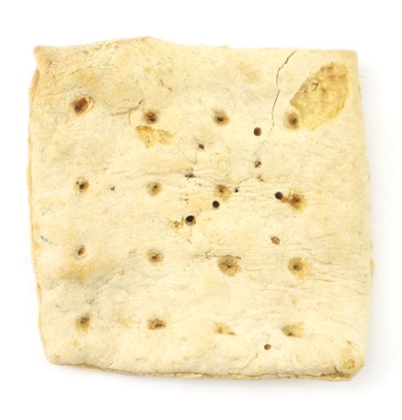 Civil War Hardtack / SOLD