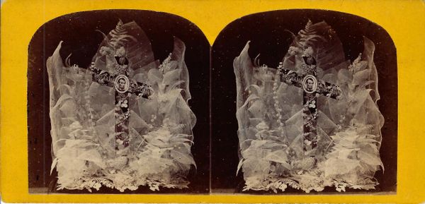 Stereoview, "Lincoln Memorial Dissected Leaves"