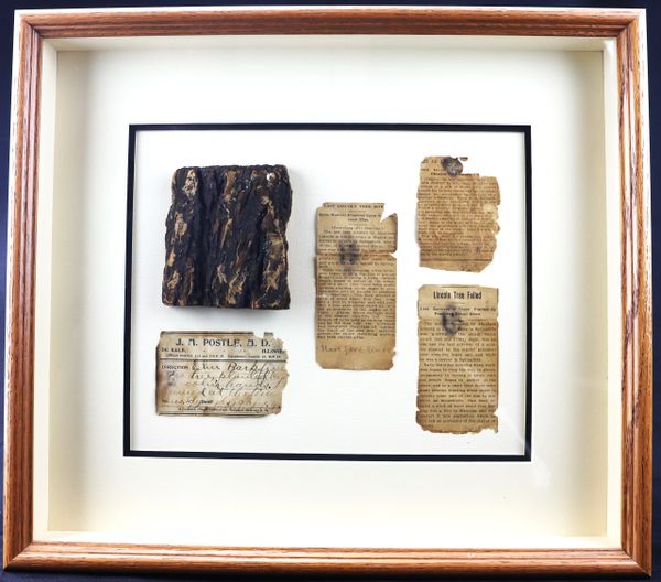 Section of Tree Planted by Abraham Lincoln / SOLD