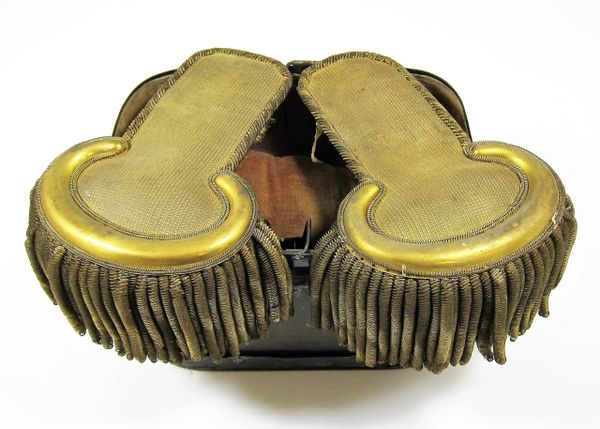 Lieutenant Epaulette's with Case / SOLD