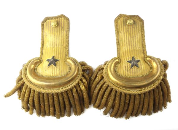 Brigadier General Epaulettes / SOLD | Civil War Artifacts - For Sale in ...