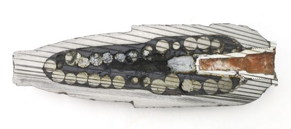 Cross Section of a Schenkel Shell, Federal / SOLD