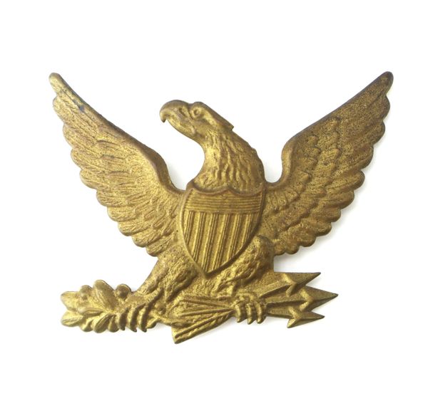 Eagle Hat Device