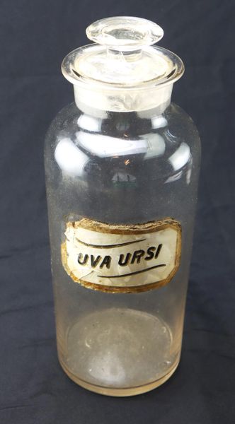 19th-Century Apothecary Bottle – “Uva Ursi” Etched Label