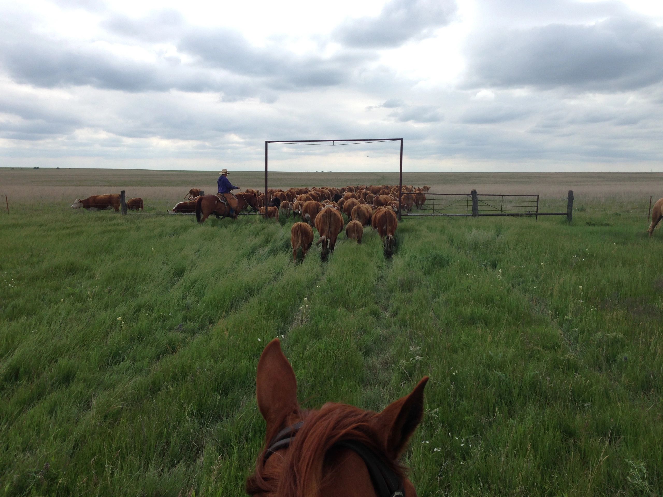 Milbourn Ranch