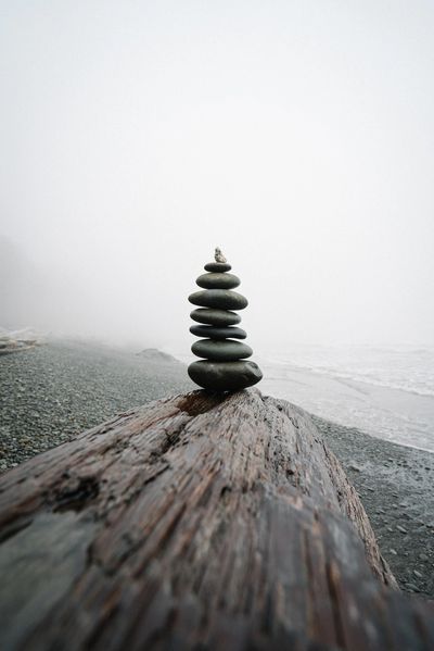 Rocks placed on a tree log