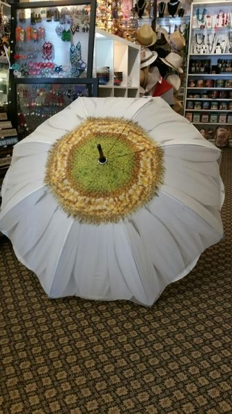 White Daisy Umbrella
