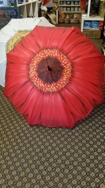 Red Gerbera Umbrella