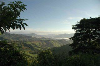 Decaf Nicaragua-San Juan del Rio Coco Certified Organic Fair Trade