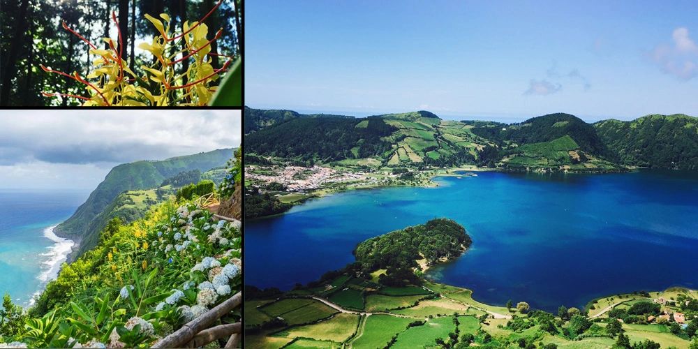 Yoga Azores