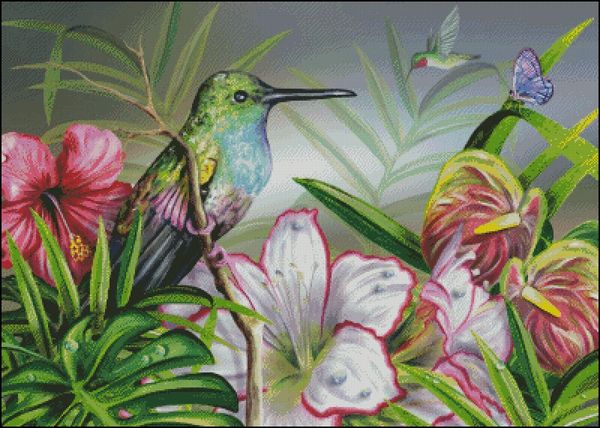 hummingbird cross stitch border patterns