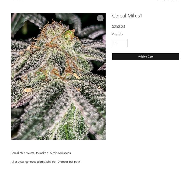 Milk & Cookies (Exotic Genetix) :: Cannabis Strain Info