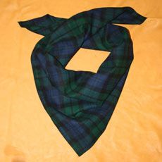 Bandana Green/Navy Plaid