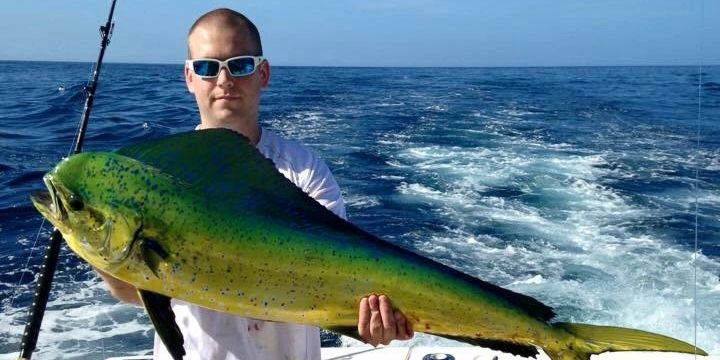 Flashahoo Wahoo Lures  TN-Tackle Quality Big Game Fishing Tackle at  Reasonable Prices