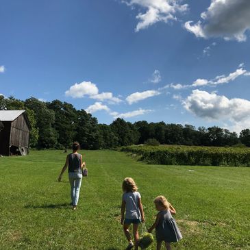 family in a vineyard