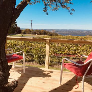 chairs in a tree house overlooking finger lakes vineyards