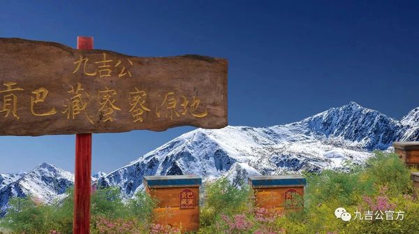 九吉公贡巴藏蜜蜜源地，就是在这么圣洁纯净的世界之巅--喜马拉雅青藏高原。如果味道有境界，定是贡巴藏蜜的那抹纯净圣洁！