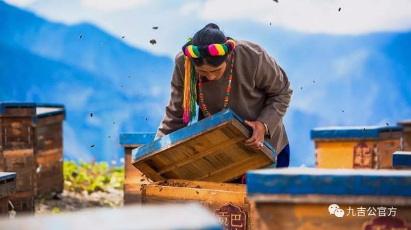 青藏高原淳朴的养蜂人，他们很善良和单纯，一生都在追求内心的干净，努力把最好和最纯的蜂蜜供奉给佛菩萨，出家人和有缘人。