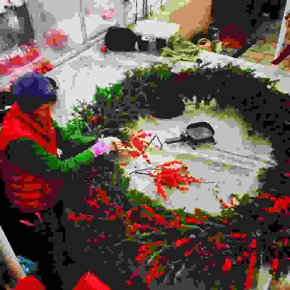 Cottage Gardens Cottage Gardens in Hermitage, Landscape, Greenhouse