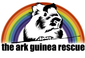 Guinea 2024 pig ark