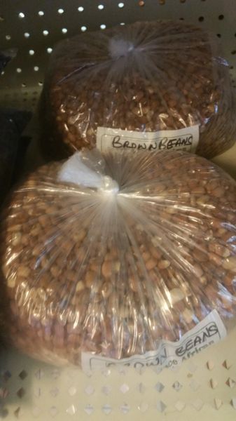 Brown Beans