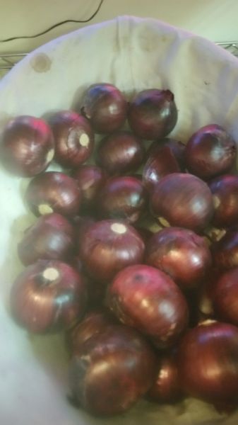 Red Onions