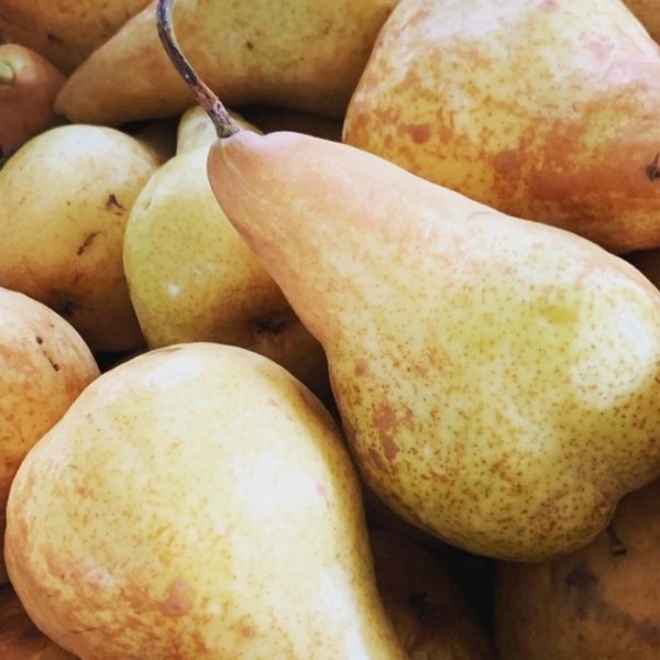 Spiced Pear Paste 240ml Jar