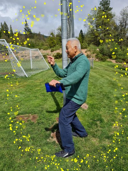 Workshop on Dowsing Earth Energies, Saturday 21 October 2023 in Alameda, CA