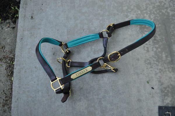 Leather Halter with Metallic Color Padding Perri's Leather