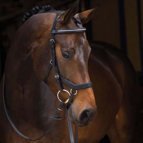 RAMBO Micklem Diamante Competition Bridle