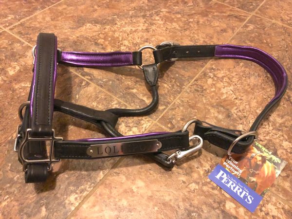 Perri's Leather Stable Halter with NAMEPLATE