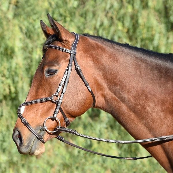 Bobby's English Tack: Signature Series Fancy Stitched Figure 8 Monocrown Bridle