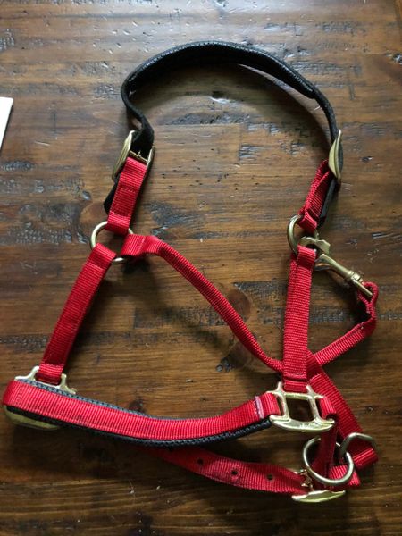 Used Red yearling halter