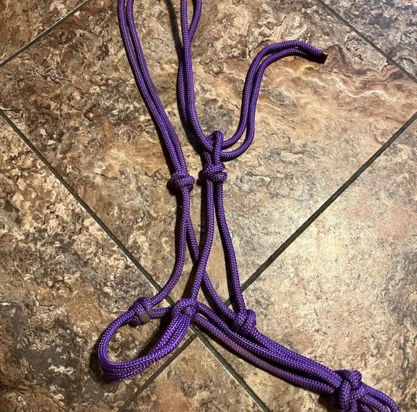 Rope halter purple