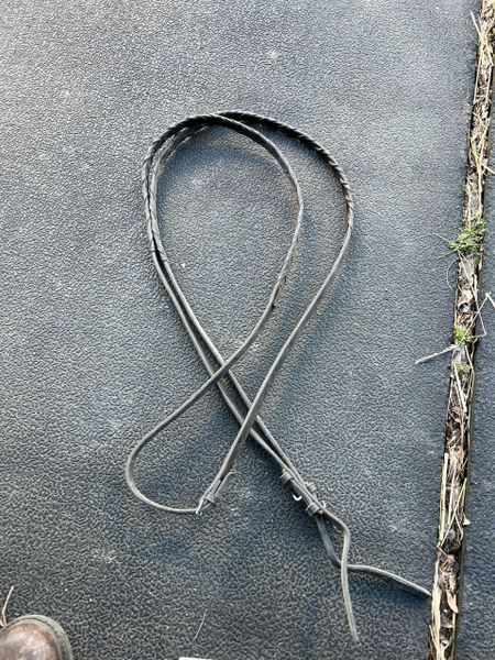 Used laced reins