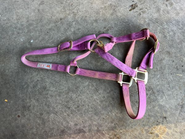 Horse halter pink/lilac