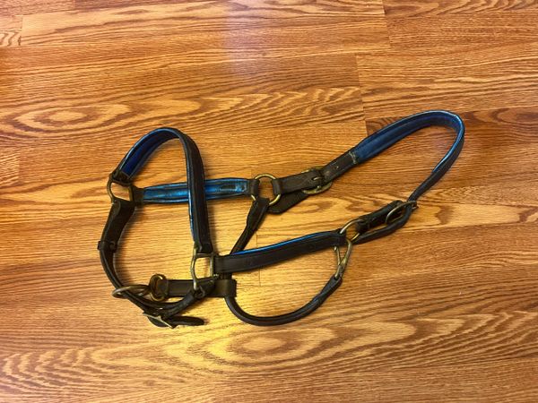 Used Perris leather horse halter