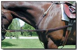 Nunn Finer leather side reins with elastic
