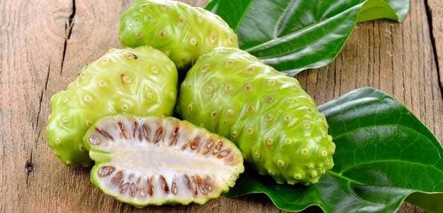 Noni Juice Chiang Mai Thailand. Organic Noni Juice at Body and Mind Healing. Health supplement
