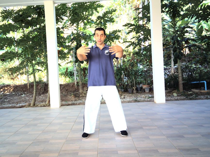 Picture of Chi Kung Level 1 | Body and Mind Healing