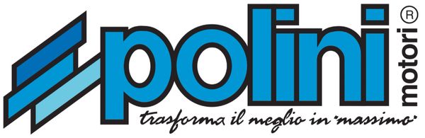 Polini Transmission Kit for Piaggio Vespa ET2 and 50cc 2 Stroke Scarabeo Aprilia 