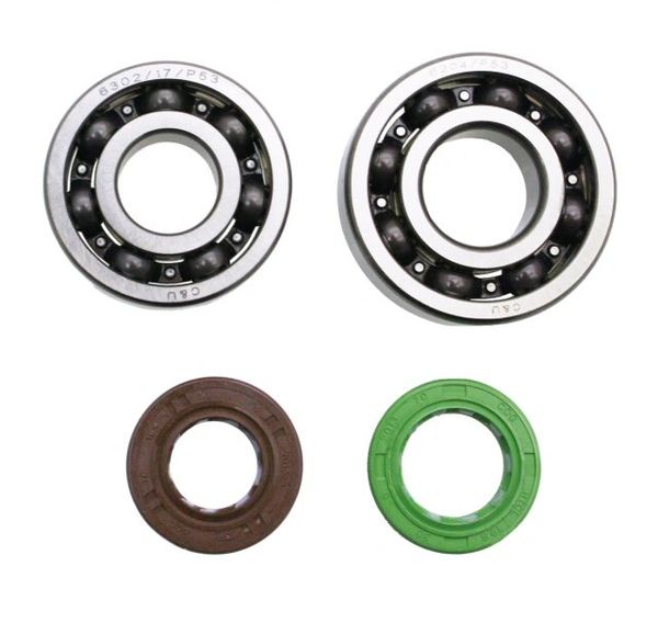 SSP-G QMB139 Bearing & Seal Ki