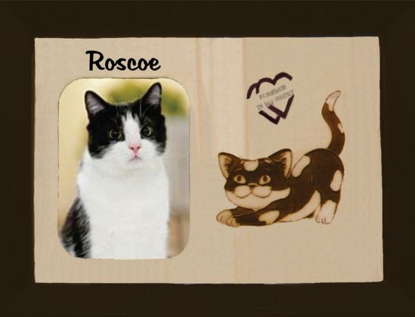 Lost Cat Custom Breed Engraved Wood Picture in Frame - Forever in My Heart (8x10)