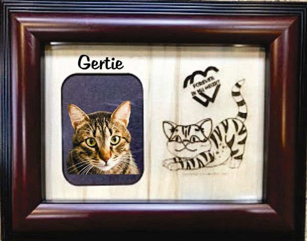 Lost Cat Custom Breed Engraved Wood Picture in Frame - Forever in My Heart (5x7)